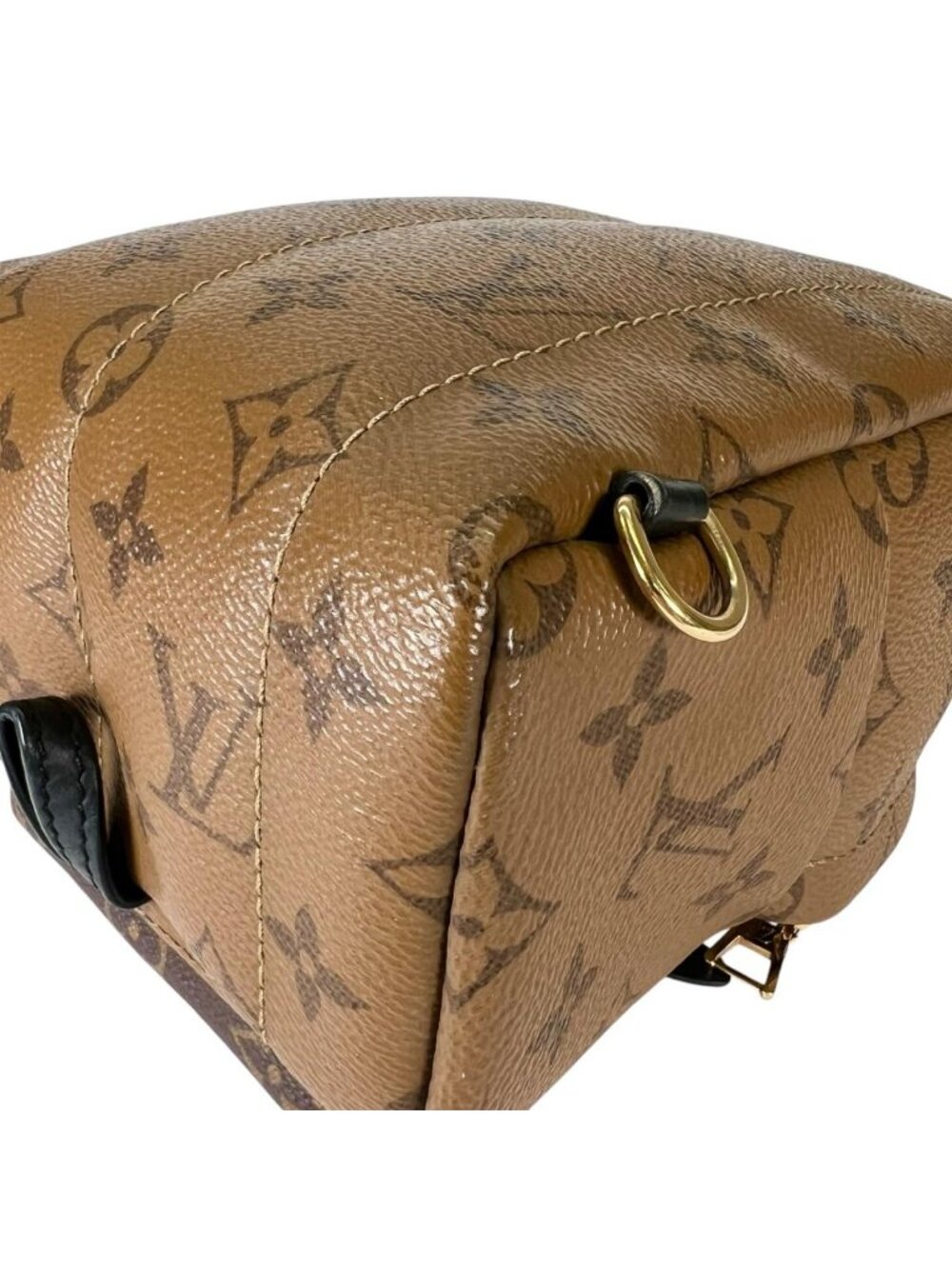 Louis Vuitton Monogram Reverse Mini Palm Springs Backpack Brown - Picture 9 of 15